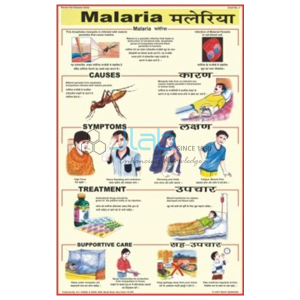 Malaria Chart