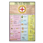 Outline of First Aid and Appliances Chart