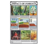 Impacts of Forests Chart