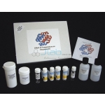 Effect of Temperature on Enzymes kit