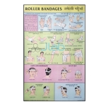 Roller Bandages Chart