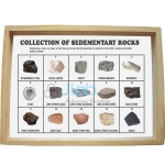 Collection of 15 Sedimentary Rocks