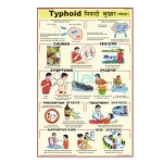 Typhoid Chart