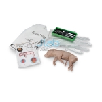 Dissection Kit - Fetal Pig