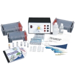 Electrophoresis Lab Station III