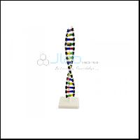 DNA Structure Simulation Kit Model