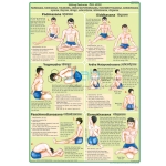 Paschimottanasana and Ardha Matsyendrasana Chart