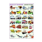 Means of Transport Chart