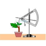 Auxanometer