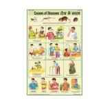 Causes of Diseases Chart