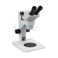 Stereoscopic Microscope