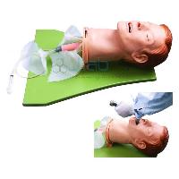 Multi Functional Airway Mangement Model