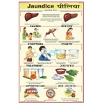 Jaundice Chart