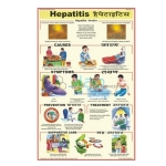 Hepatitis Chart